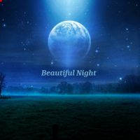 undefined обложка Beautiful Night