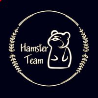 undefined обложка Hamster|Team