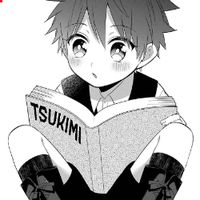 undefined обложка Tsukimi Manga Team