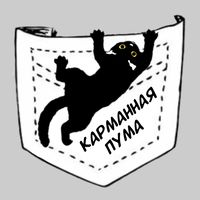 undefined обложка Карманная пума