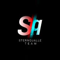 undefined обложка Sternqualle team