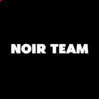 undefined обложка Noir Team