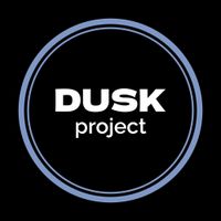 undefined обложка DUSK project