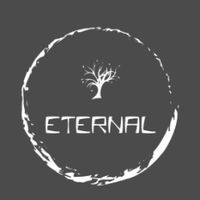 undefined обложка Thе  eternal team