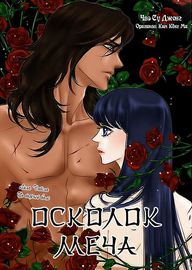 Обложка Осколок меча