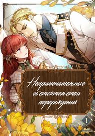 Обложка Непримечательные обстоятельства перерождения